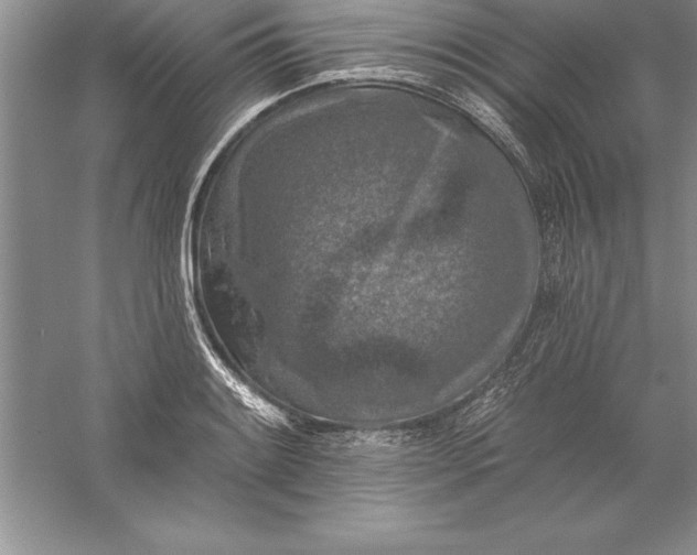 X0000055991084200509092013