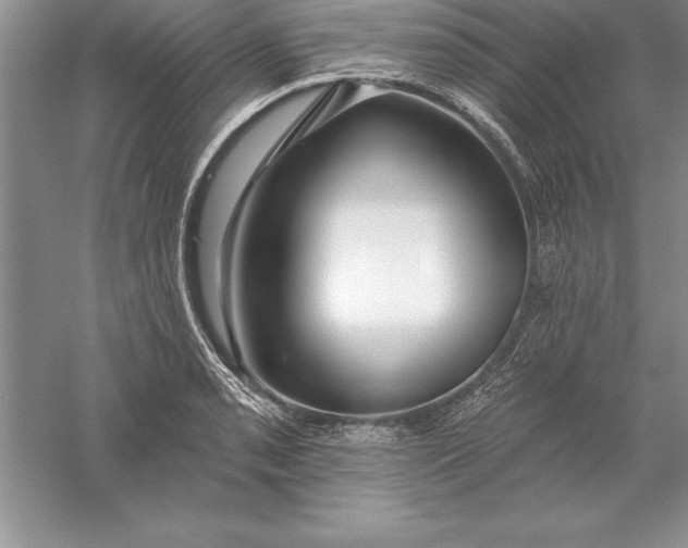 X0000055991085200509092013