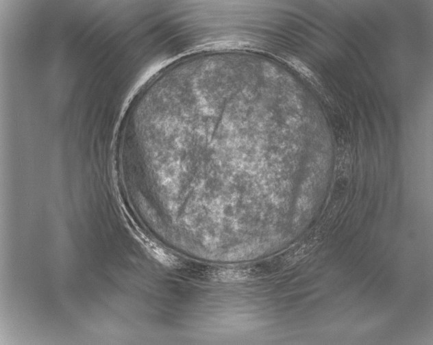 X0000055991086200509092013