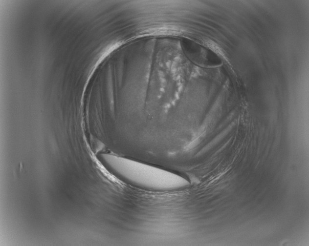 X0000055991087200509092013