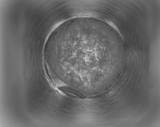 X0000055991088200509092013