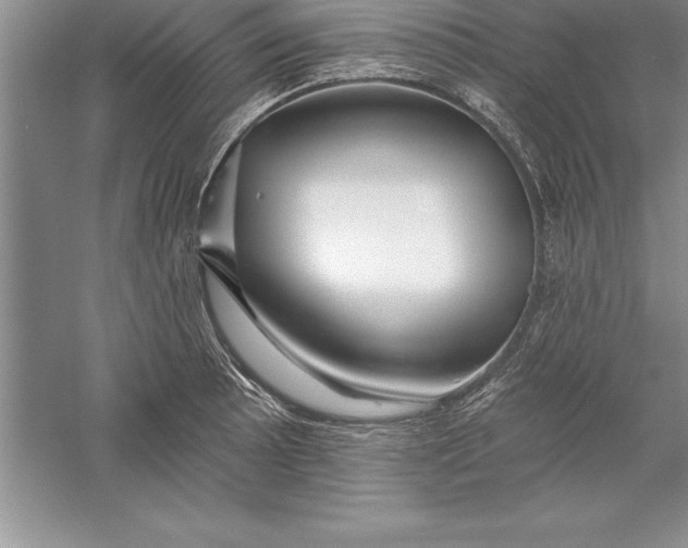 X0000055991089200509092013