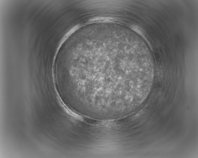 X0000055991090200509092013