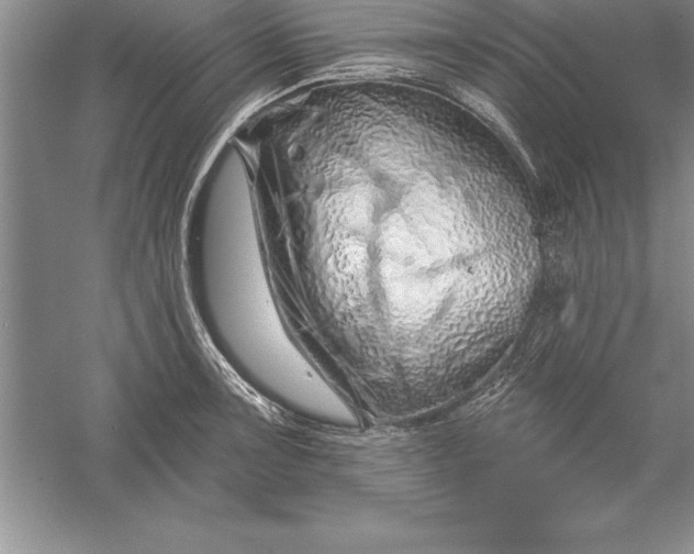 X0000055991091200509092013