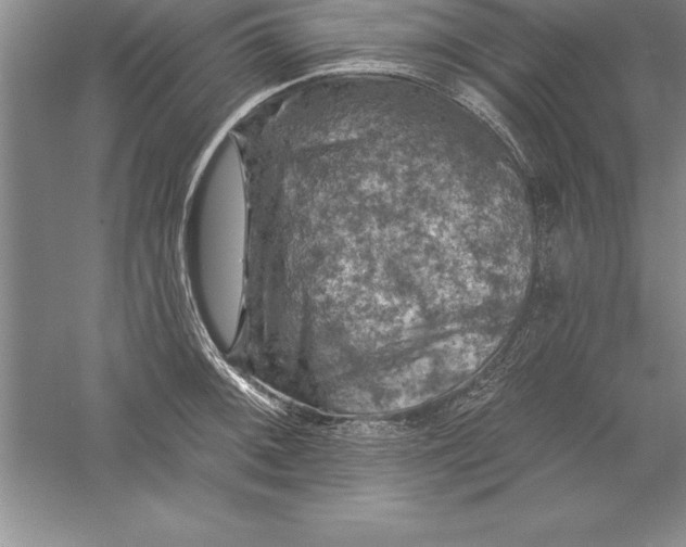 X0000055991092200509092013