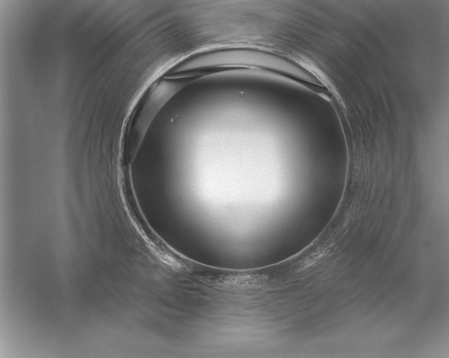 X0000055991093200509092013