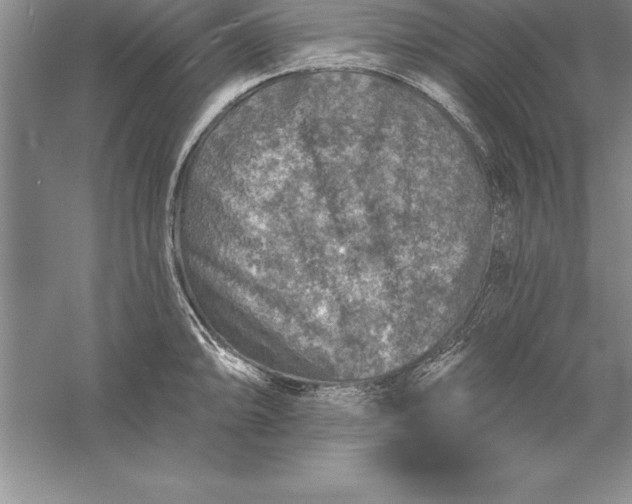 X0000055991094200509092013