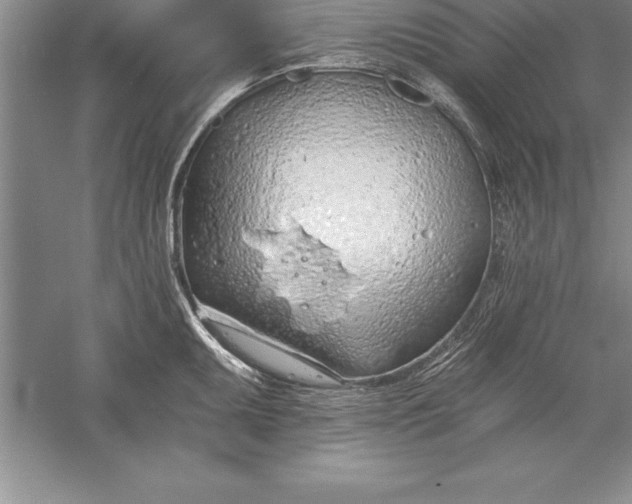 X0000055991095200509092013