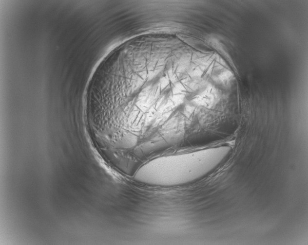 X0000055991099200509092013