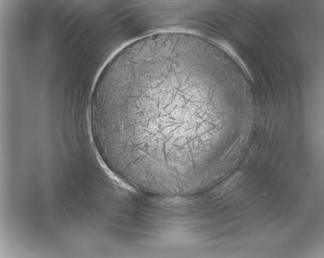 X0000055991100200509092013