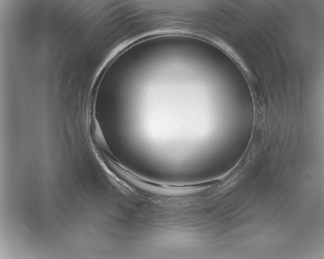 X0000055991101200509092013