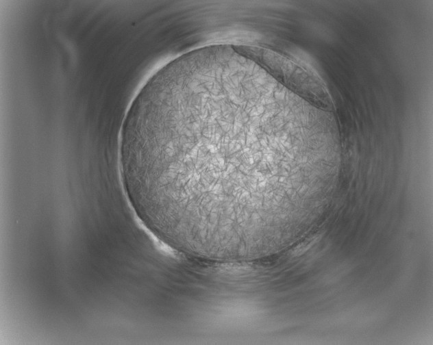 X0000055991103200509092013