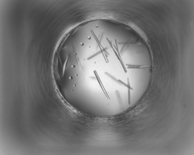 X0000055991104200509092013