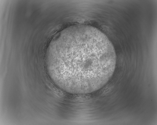 X0000055991105200509092012