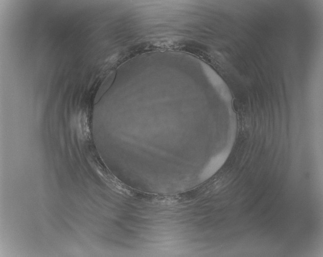 X0000055991106200509092012