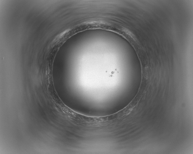 X0000055991111200509092012