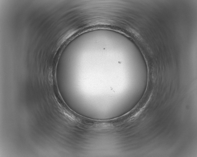 X0000055991113200509092012