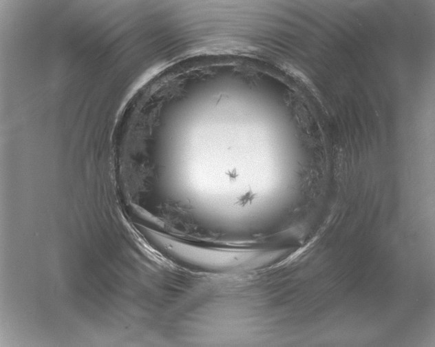 X0000055991114200509092012