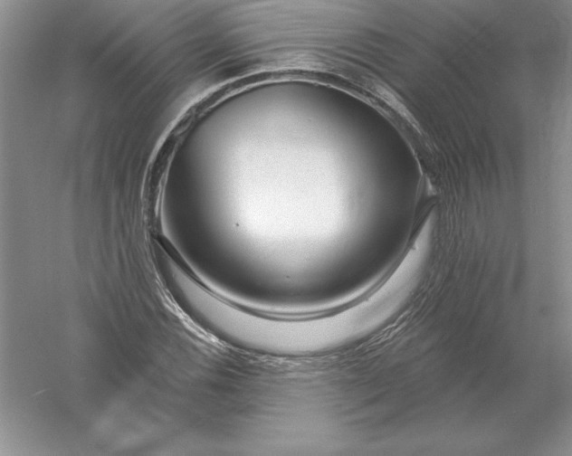 X0000055991116200509092012