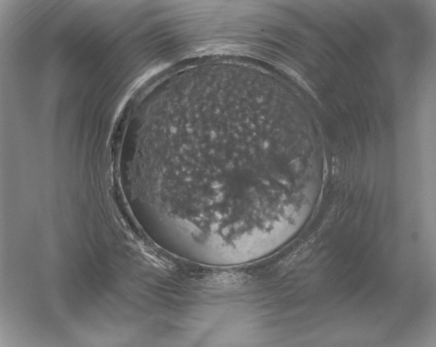 X0000055991117200509092012