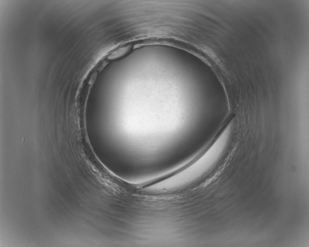 X0000055991118200509092012