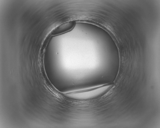 X0000055991119200509092012