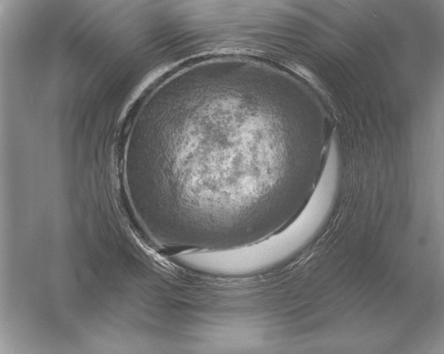 X0000055991120200509092012