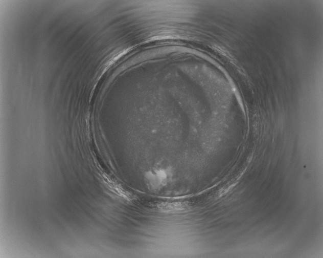 X0000055991121200509092012