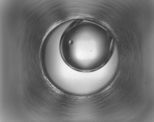 X0000055991122200509092012