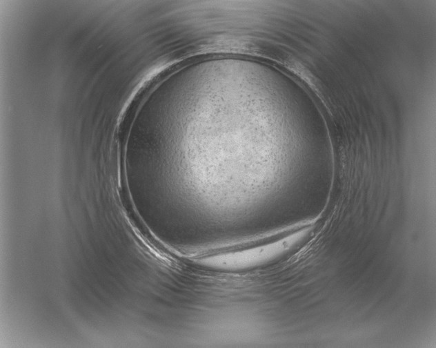 X0000055991123200509092012