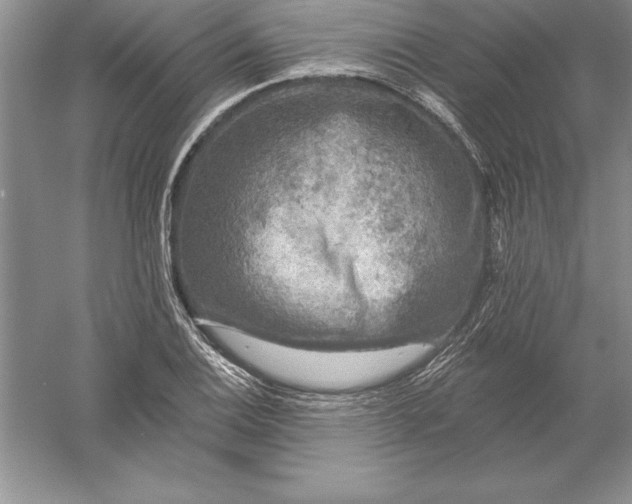 X0000055991124200509092012