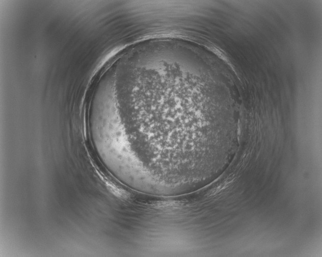 X0000055991127200509092012