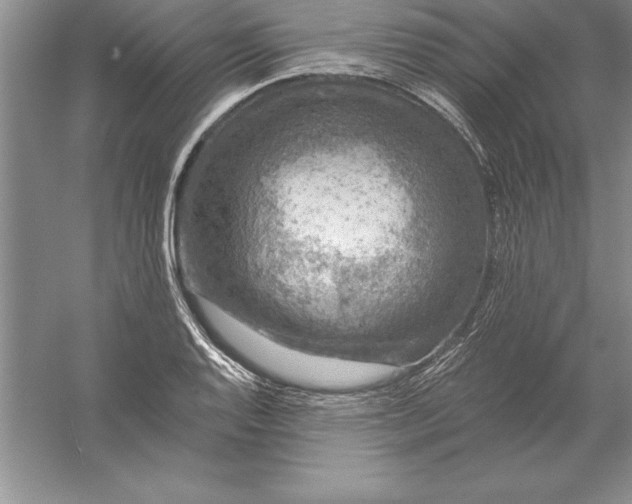 X0000055991128200509092012