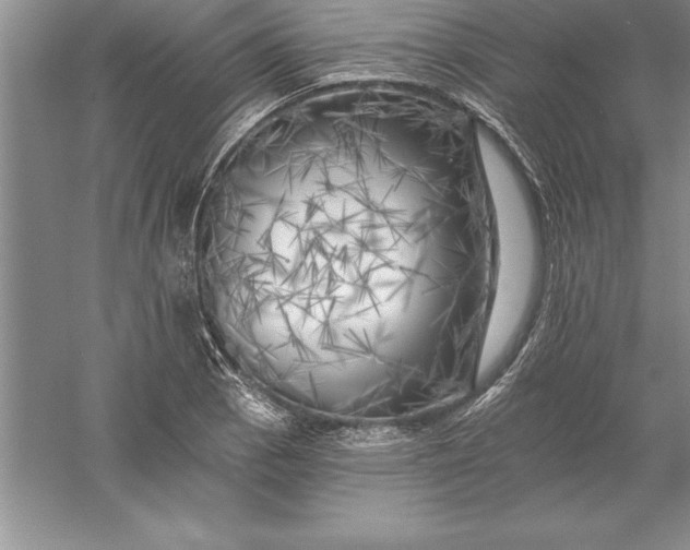 X0000055991129200509092012