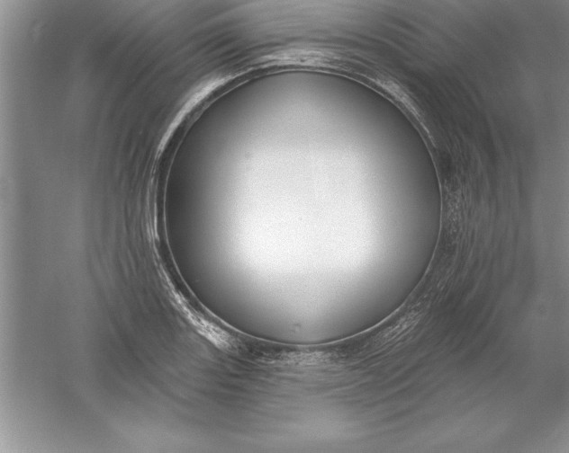 X0000055991131200509092012