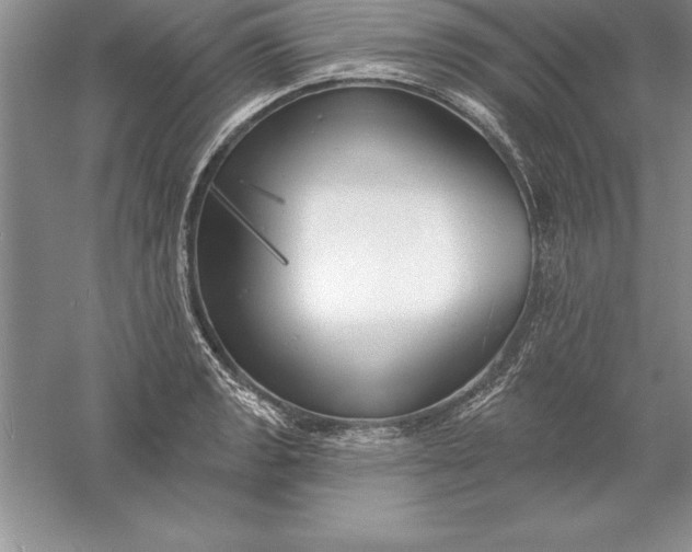 X0000055991133200509092012