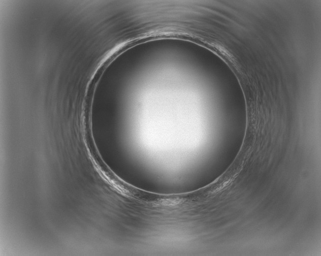 X0000055991134200509092012