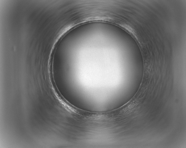 X0000055991135200509092012