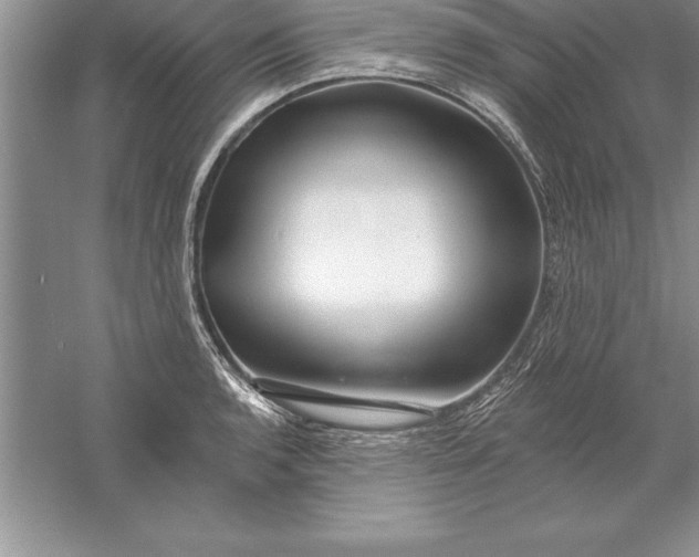 X0000055991136200509092012