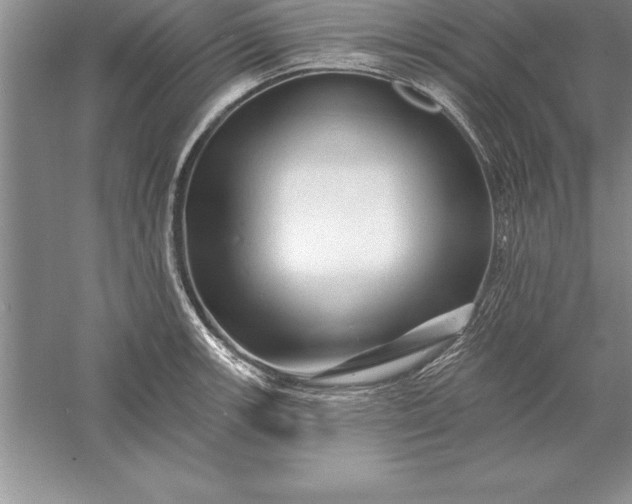 X0000055991139200509092012