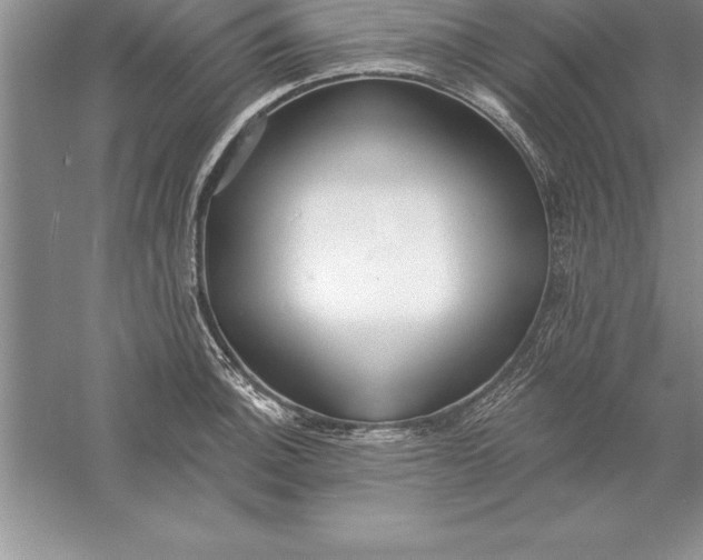 X0000055991140200509092012