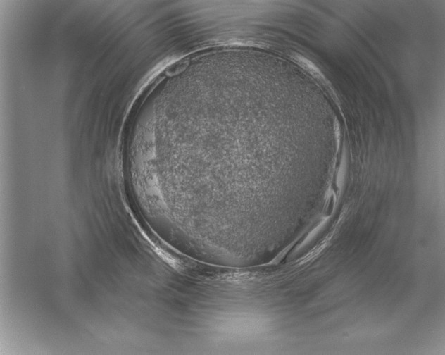 X0000055991141200509092012