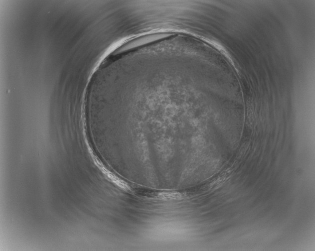 X0000055991142200509092012