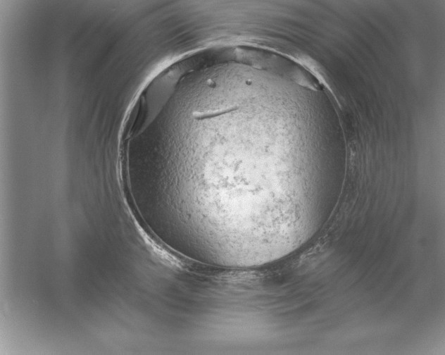 X0000055991143200509092012