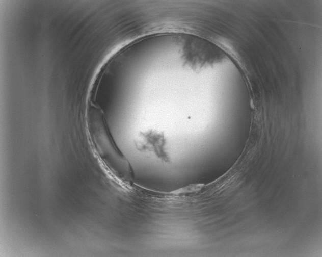 X0000055991144200509092013