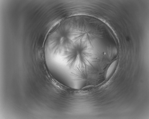 X0000055991145200509092013