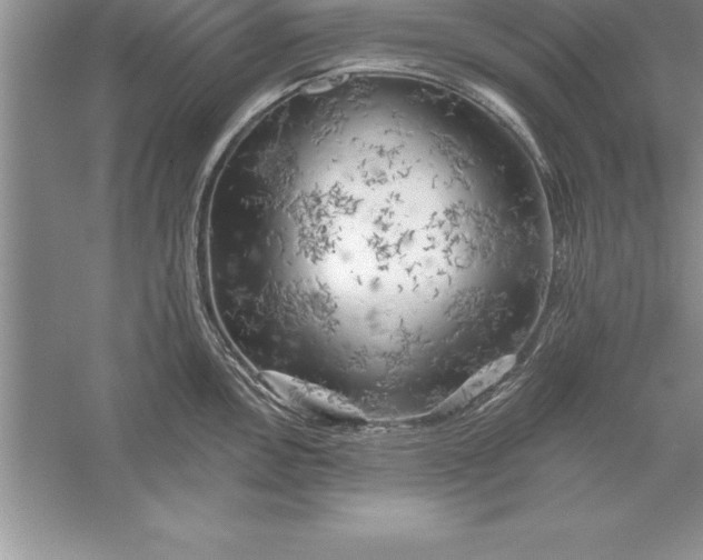 X0000055991146200509092013