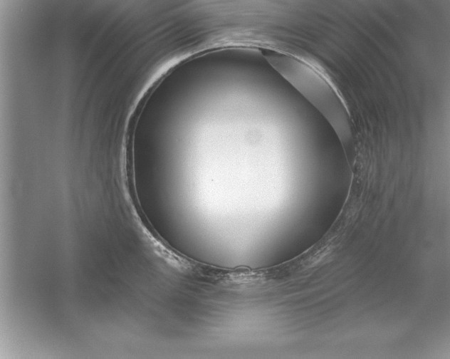 X0000055991147200509092013