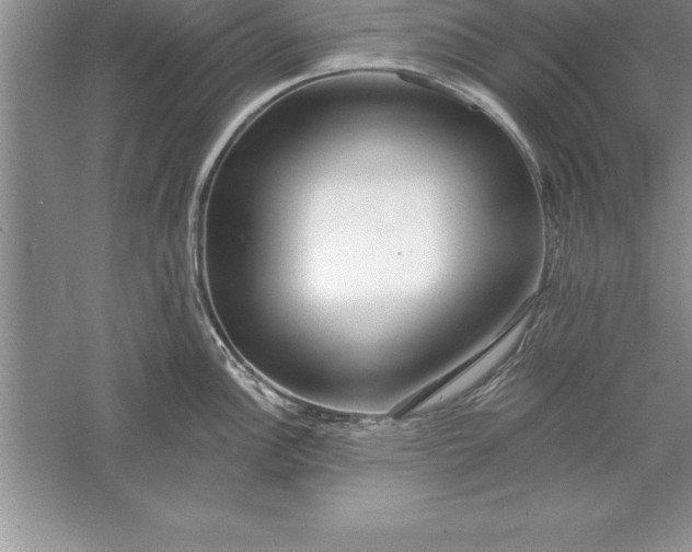 X0000055991148200509092013