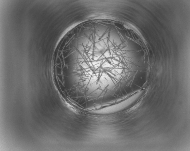 X0000055991149200509092013